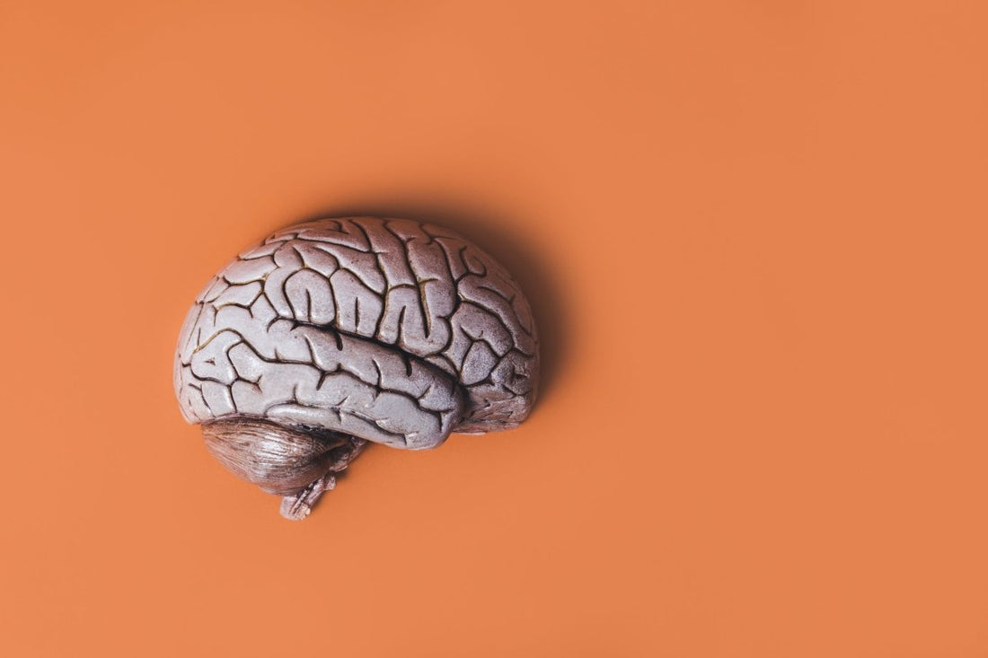 Understanding mental models - High Impact Academy